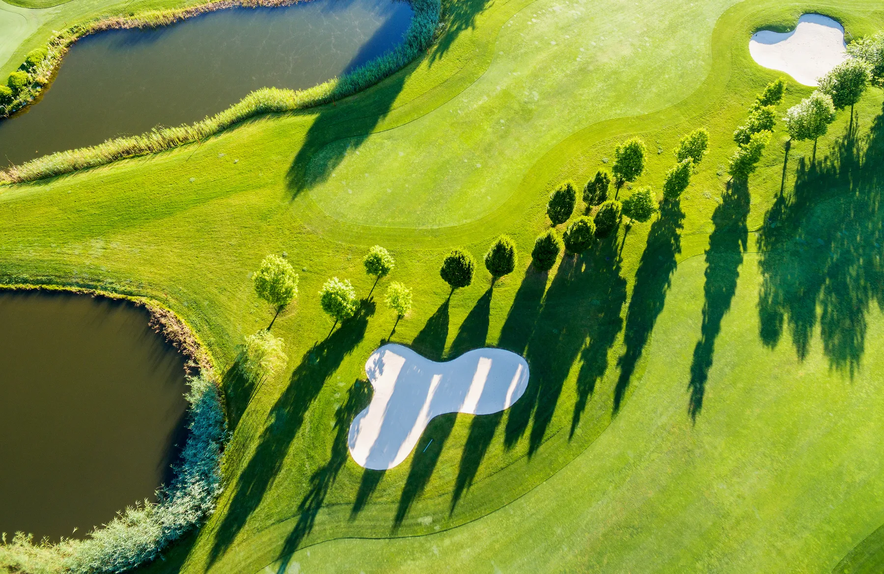 Level Up Your Game at WSC. at Woodinville Sports Club